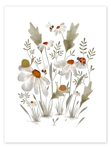 Poster Bugs on daisies