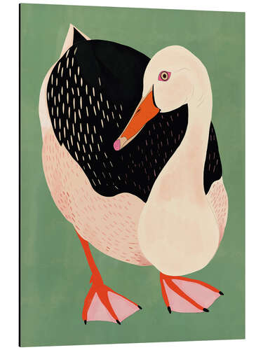 Cuadro de aluminio Duck