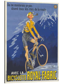 Alubild Bicyclette Royal-Fabric - Vintage Advertising Collection