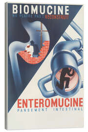 Lienzo Biomucine, Enteromucine - Vintage Advertising Collection
