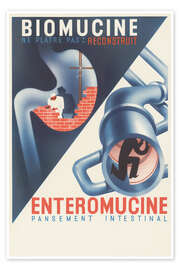 Tableau Biomucine, Enteromucine - Vintage Advertising Collection
