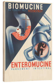 Holzbild Biomucine, Enteromucine - Vintage Advertising Collection