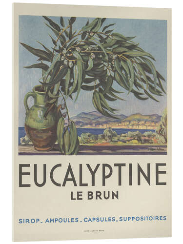Obraz na szkle akrylowym Eucalyptine Le Brun