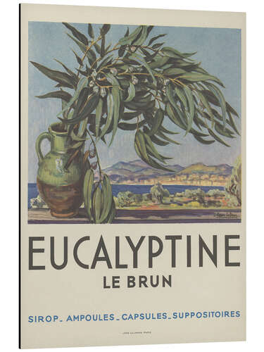 Obraz na aluminium Eucalyptine Le Brun