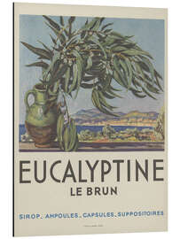 Obraz na aluminium Eucalyptine Le Brun - Vintage Advertising Collection