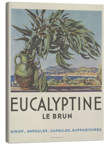 Quadro em tela Eucalyptine Le Brun