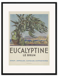 Gerahmter Kunstdruck Eucalyptine Le Brun