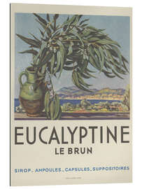 Gallery Print Eucalyptine Le Brun