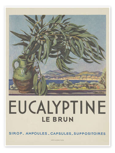 Poster Eucalyptine Le Brun
