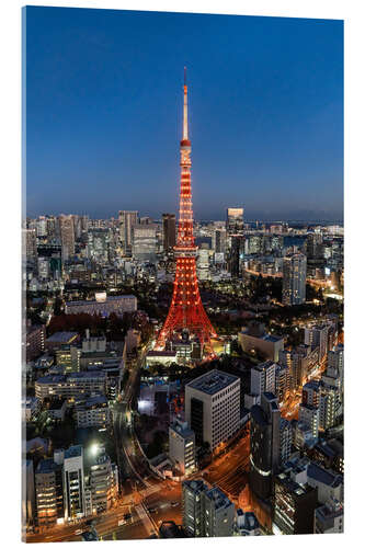 Akrylglastavla Tokyo Tower at night with Christmas lights