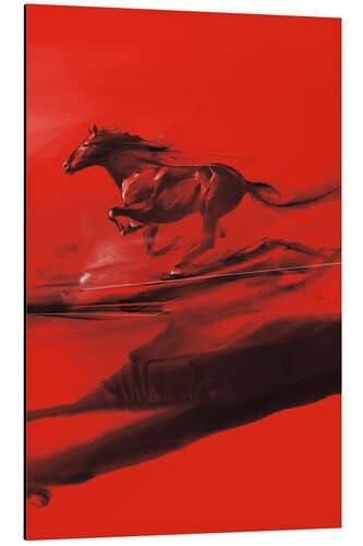 Aluminium print Maverick II