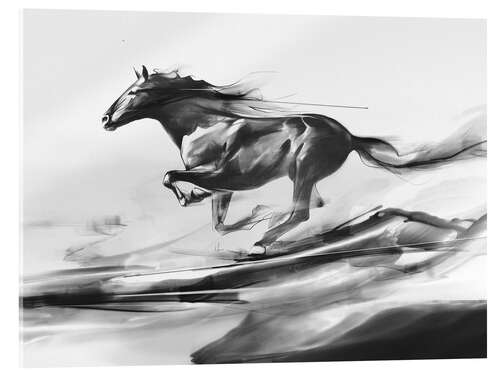 Acrylglas print Maverick I