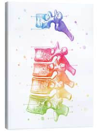 Canvas print Vertebrae Thoracic - Mod Pop Deco