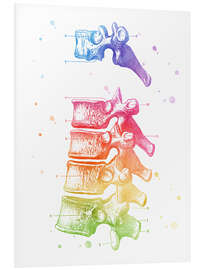 Hartschaumbild Vertebrae Thoracic