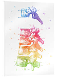 Gallery Print Vertebrae Thoracic