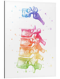 Magnettafel Vertebrae Thoracic