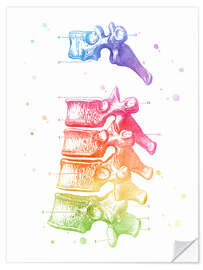 Wandsticker Vertebrae Thoracic