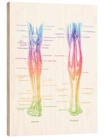 Holzbild Muskeln der Beine