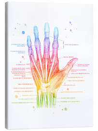 Canvas print Muscles of the Hand - Mod Pop Deco