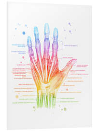 Hartschaumbild Muskeln der Hand