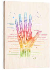 Holzbild Muskeln der Hand