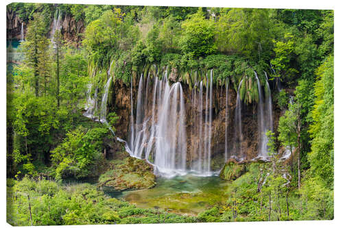 Lienzo Plitvice, Croatia