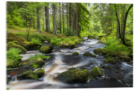 Akrylglastavla Forest Region - Rainer Mirau