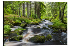Alubild Waldviertel - Rainer Mirau