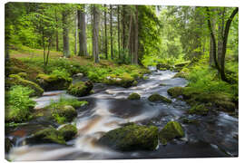 Lienzo Forest Region - Rainer Mirau