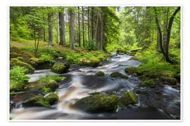 Taulu Forest Region - Rainer Mirau