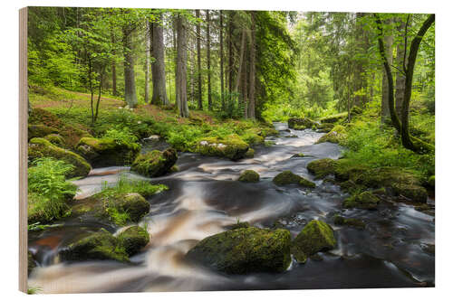 Wood print Forest Region