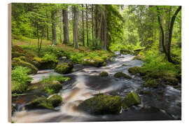 Wood print Forest Region - Rainer Mirau