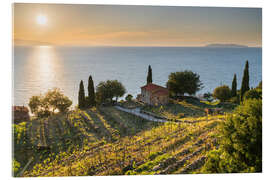 Acrylic print Elba, Italy - Rainer Mirau