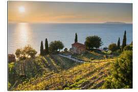 Gallery Print Elba, Italien