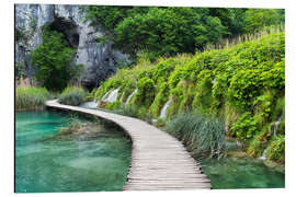 Obraz na aluminium Pier, Plitvice, Croatia - Rainer Mirau