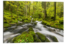 Alubild Jura, Schweiz