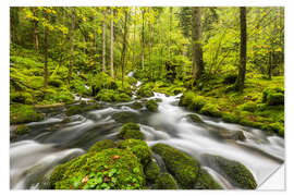 Wandsticker Jura, Schweiz