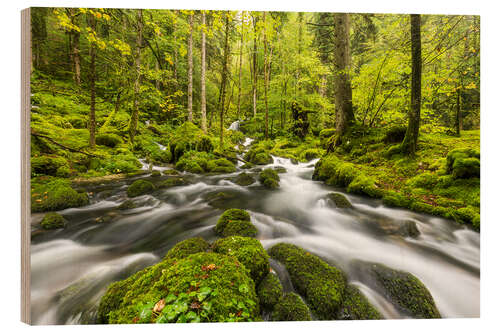 Holzbild Jura, Schweiz