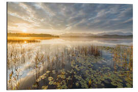 Alubild Staffelsee, Bayern - Rainer Mirau