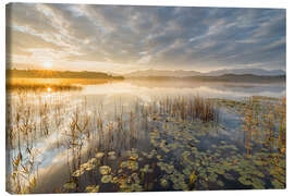 Lienzo Staffelsee, Bavaria, Germany - Rainer Mirau