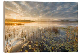 Cuadro de madera Staffelsee, Bavaria, Germany - Rainer Mirau