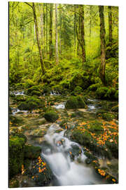 Aluminium print French Jura II - Rainer Mirau