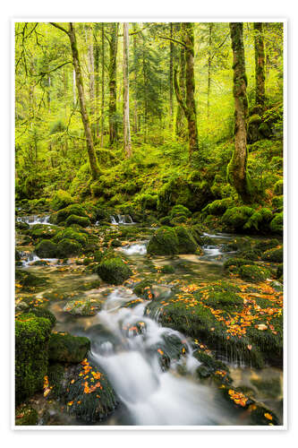 Poster French Jura II