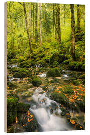 Wood print French Jura II - Rainer Mirau