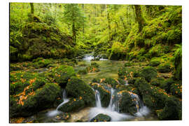 Aluminium print French Jura I - Rainer Mirau