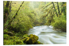 Aluminium print French Jura III