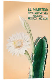 Quadro em acrílico El Maestro - Revista de Cultura Nacional, Mexico - HDMI2K