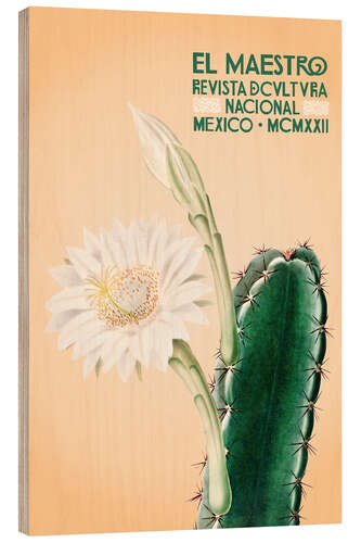 Trebilde El Maestro - Revista de Cultura Nacional, Mexico