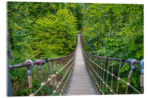 Stampa su vetro acrilico Wooden suspension bridge leads through a beech forest I
