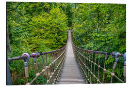 Aluminium print Wooden suspension bridge leads through a beech forest I - Jan Wehnert